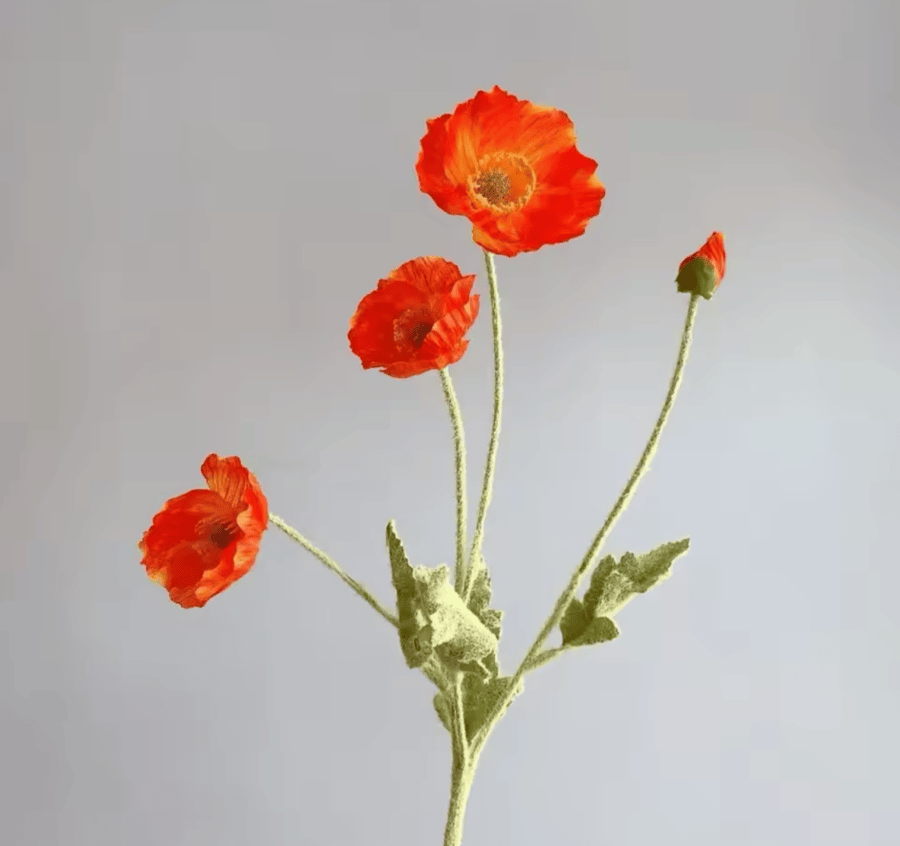 ( خدمة ) ضيافة