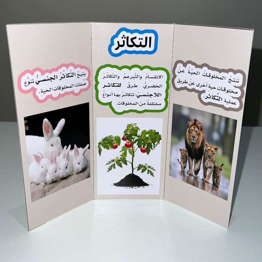 مطوية التكاثر صف خامس الفصل الاول