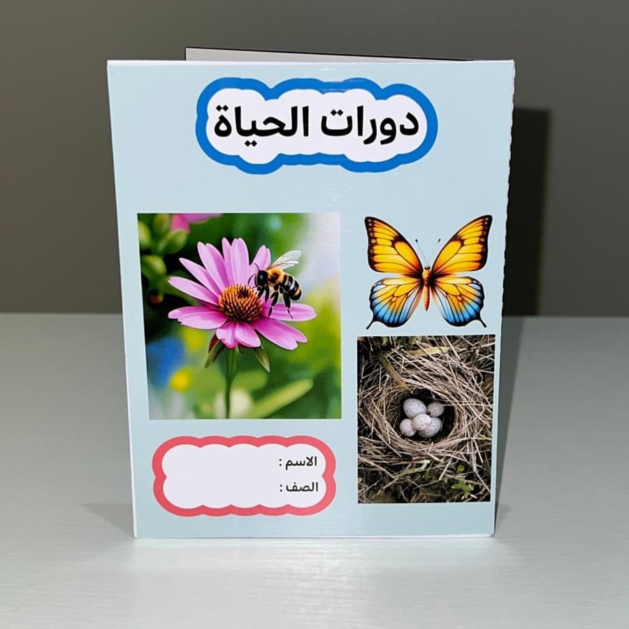 مطوية دورات الحياة