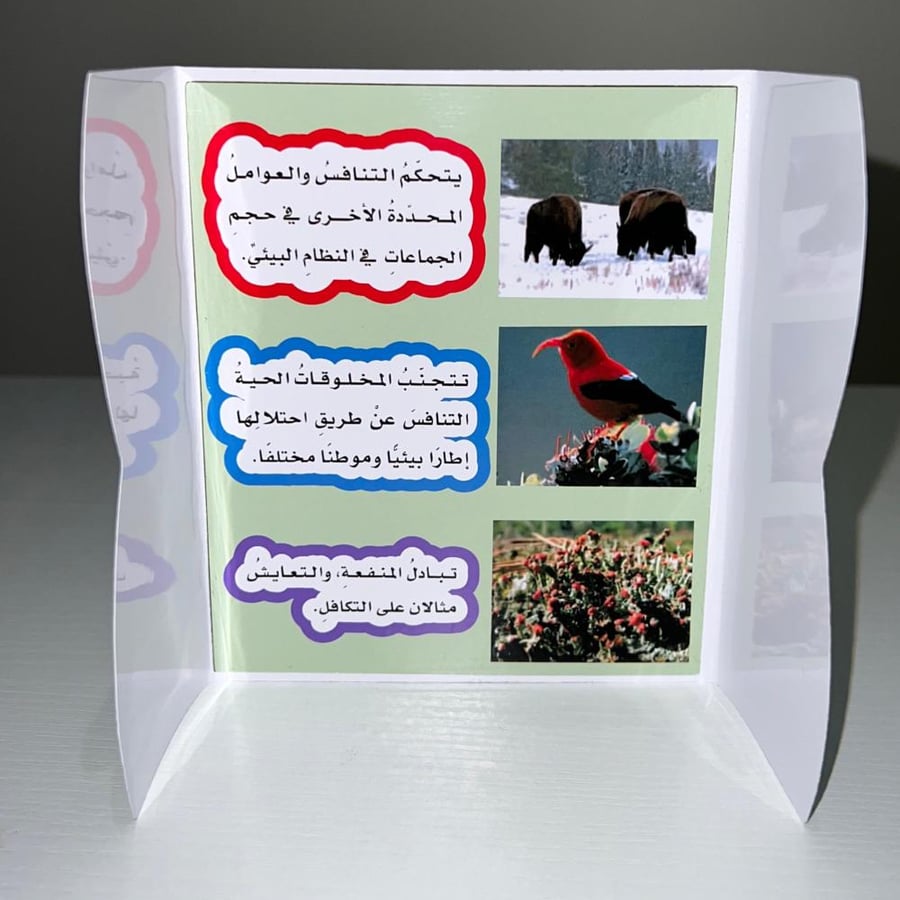 مطوية العلاقات في الانظمة البيئية صف خامس الفصل الاول