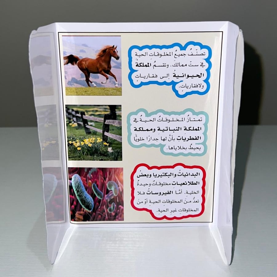 مطوية تصنيف المخلوقات الحية صف خامس الفصل الاول