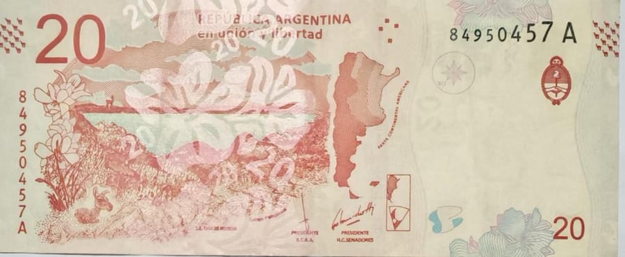 20 بيسو الارجنتين اصدار 2017 حالة جيجدا