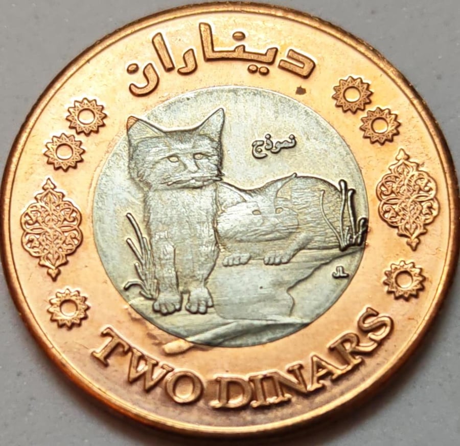 2 دينار فلسطين نموذج 2010 انسر