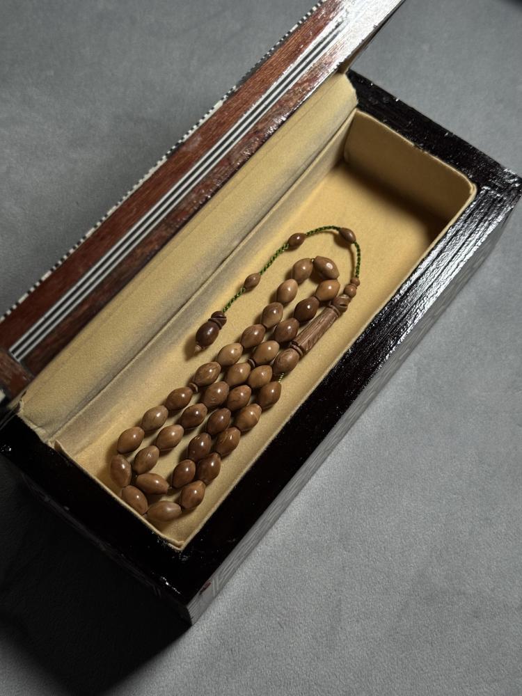 علبة صدف طبيعي ( وهّاج - طولي )