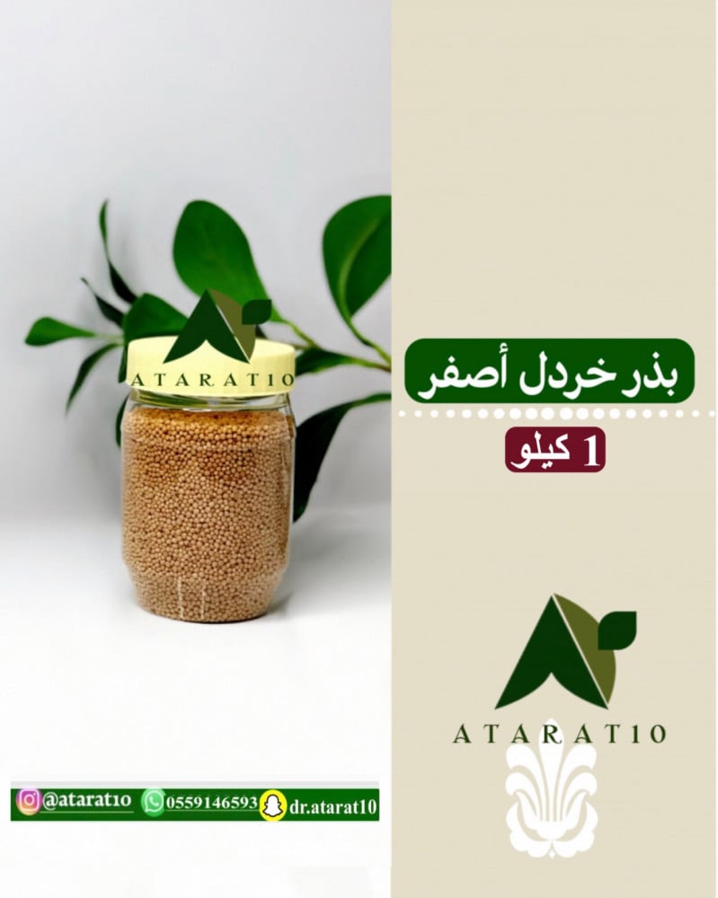 1 كيلو بذر خردل اصفر _ بذور الخردل الاصفر