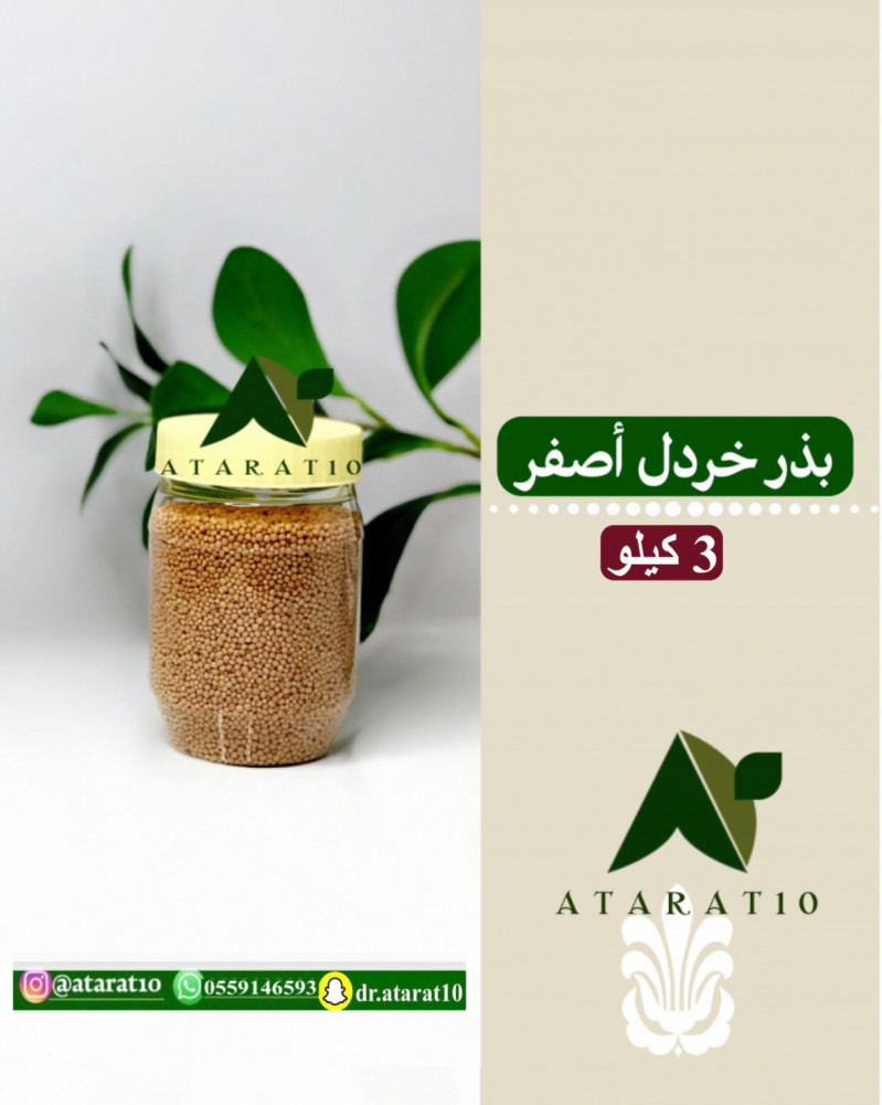 3 كيلو بذر خردل اصفر _ بذور الخردل الاصفر