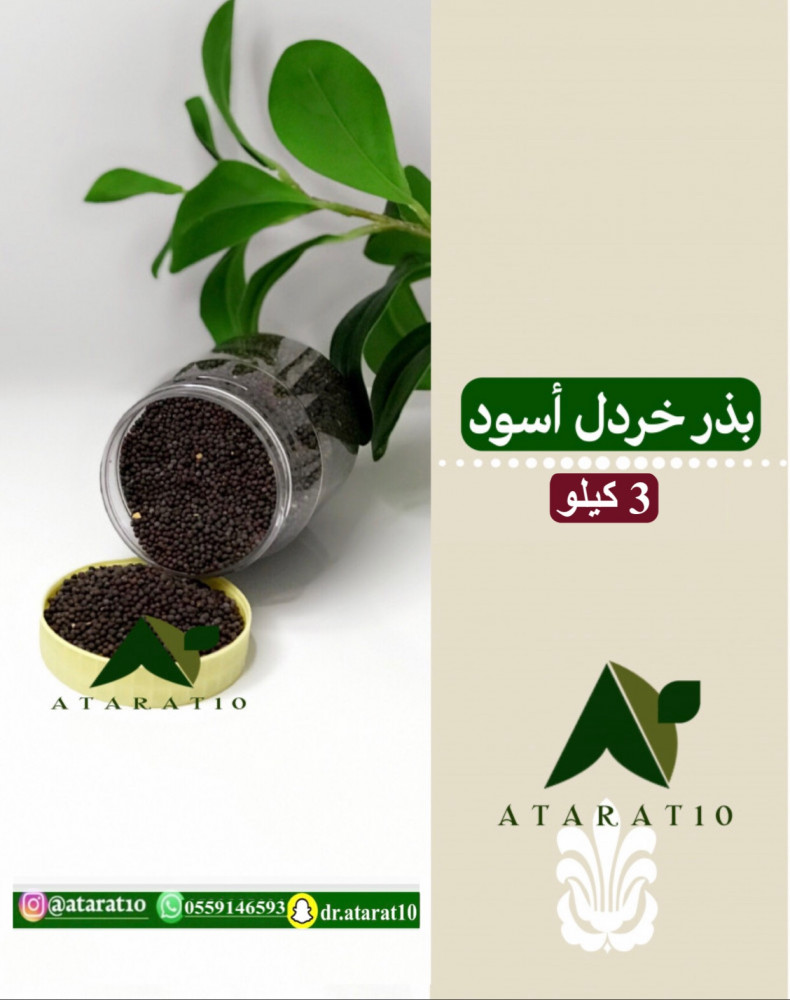 3 كيلو بذر خردل اسود _ بذور الخردل الاسود