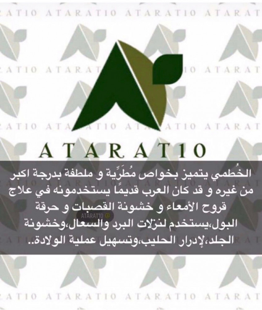 نصف كيلو زهرة الخطمي _ زهره _ زهور _ مارشميلو _ المارشميلو _ الختمية