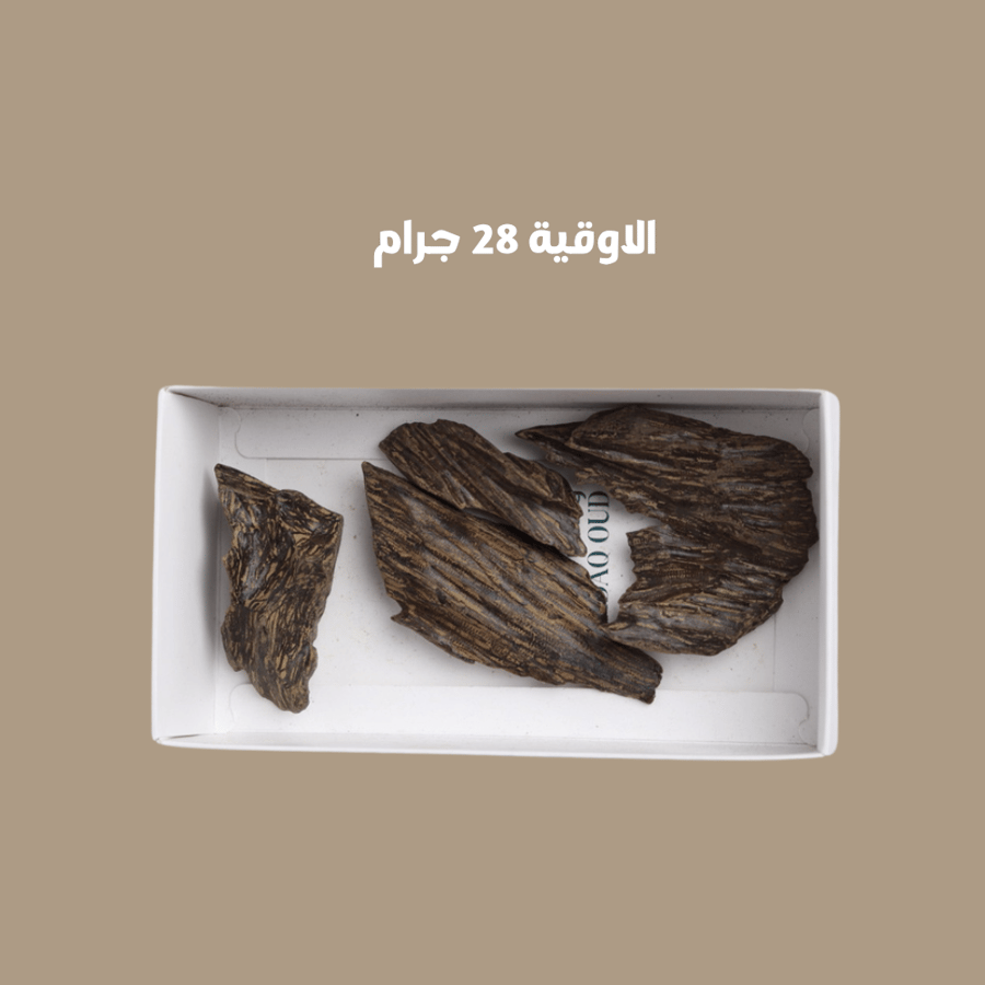 عود ازرق محسن درجة اولى
