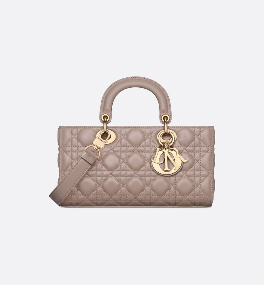 Dior LADY D-JOY BAG
