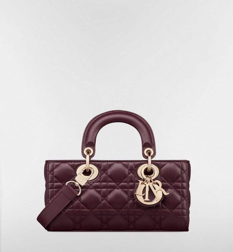 Dior LADY D-JOY Bag 22cm