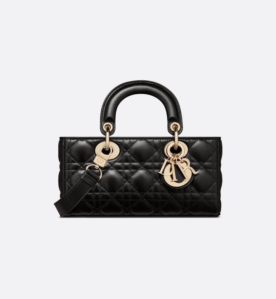 Dior LADY D-JOY Bag 22cm