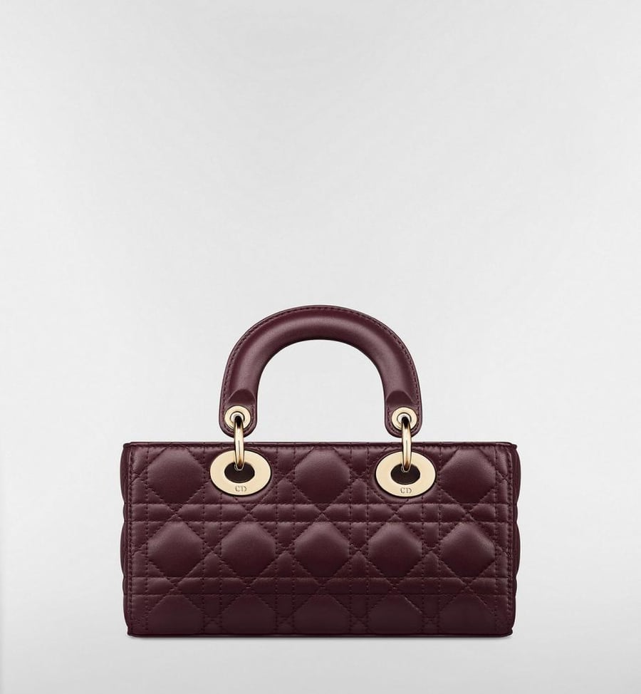 Dior LADY D-JOY Bag 22cm