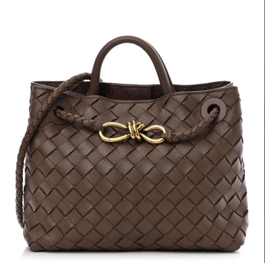 bottega veneta andiamo bag