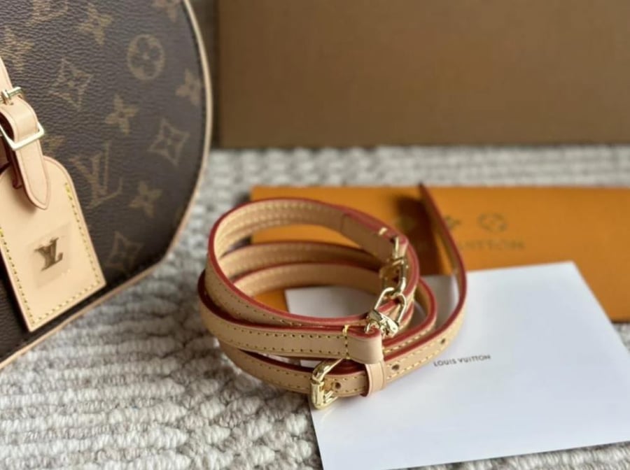 Louis Vuitton Around Me PM Monogram handbag