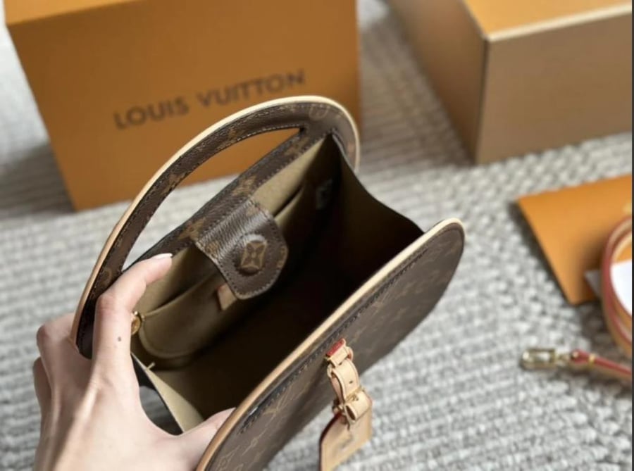 Louis Vuitton Around Me PM Monogram handbag