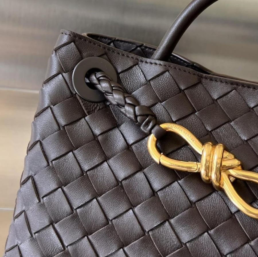 bottega veneta andiamo bag