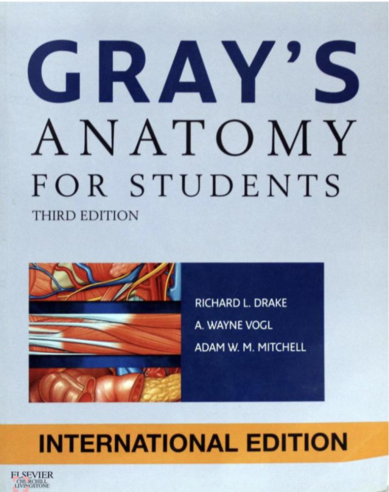 Gray's Anatomy For Studens Third Edition