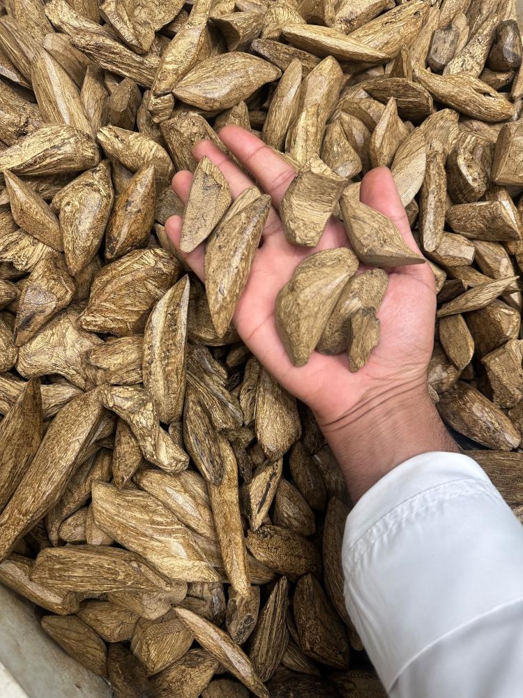 مروكي طويق جملة
