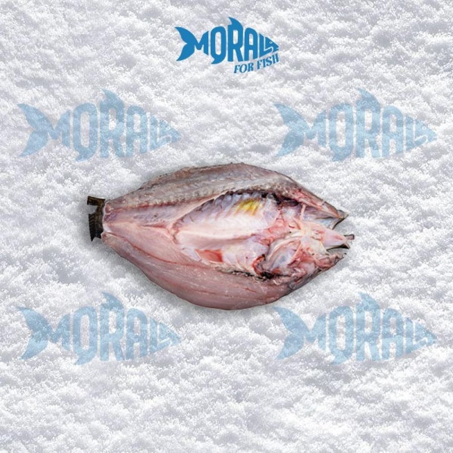 Married fish - Grouper - Seabass - see bass