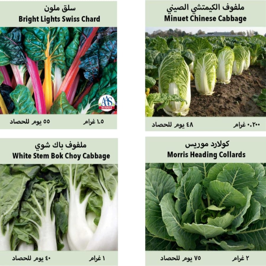 بذور آسيوية