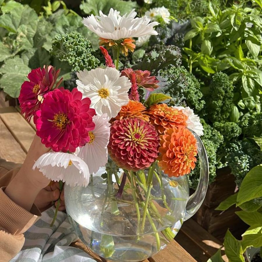 بذور باقة ورد