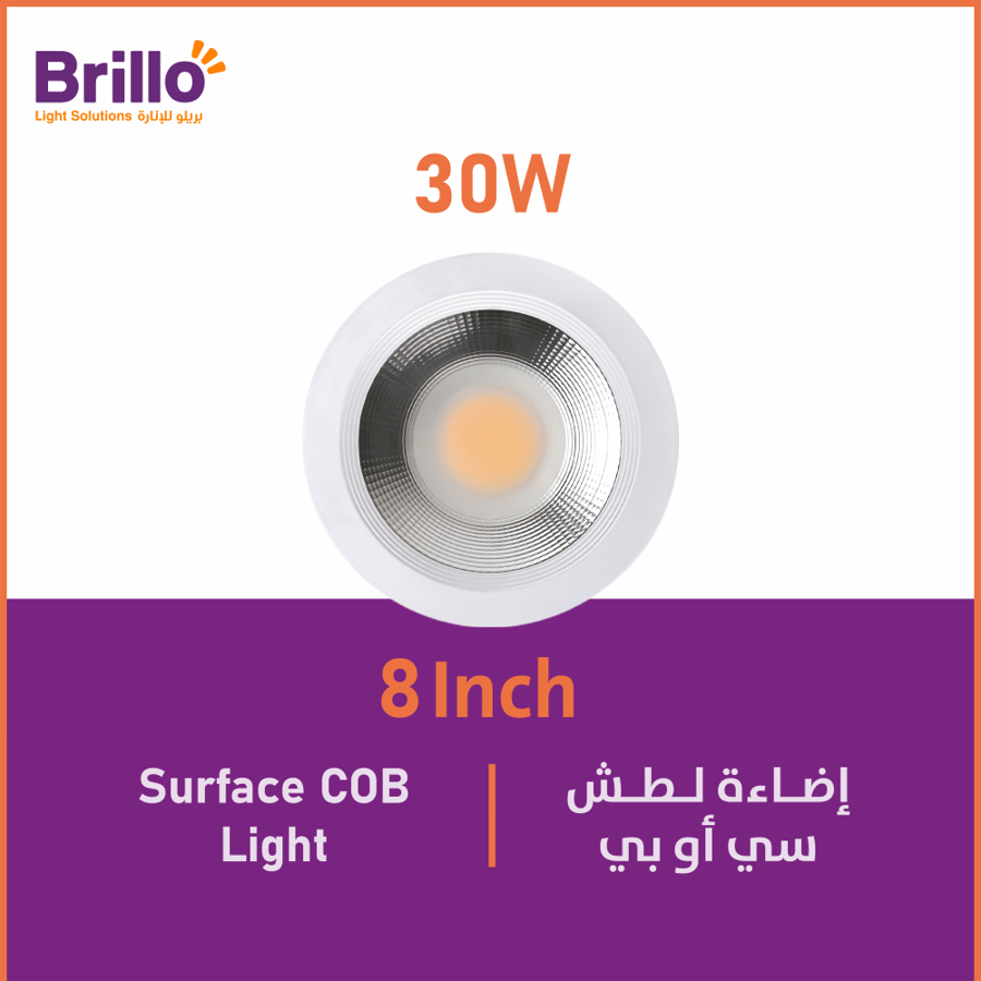 COB flashlight lighting - 30 watts