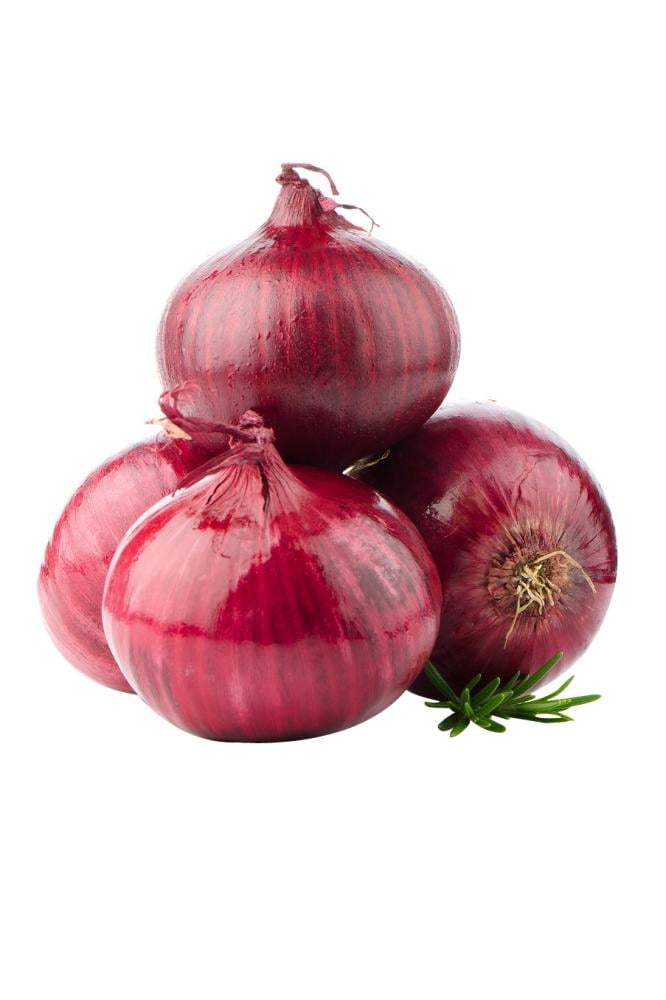بصل