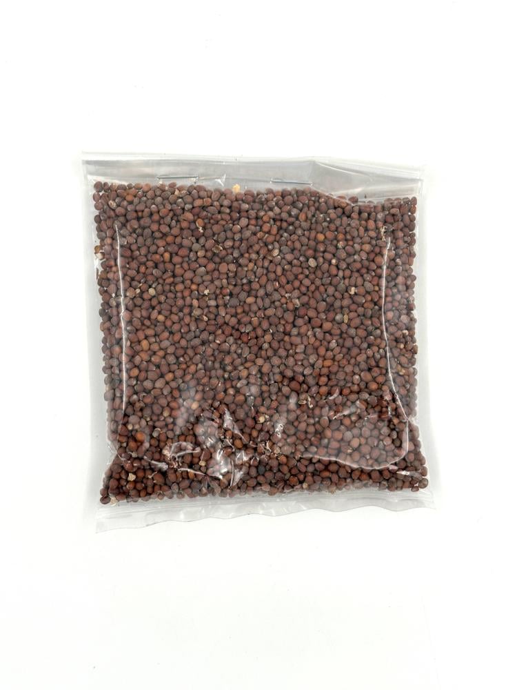 Radish Seeds - Mooli Ke Beej 50g