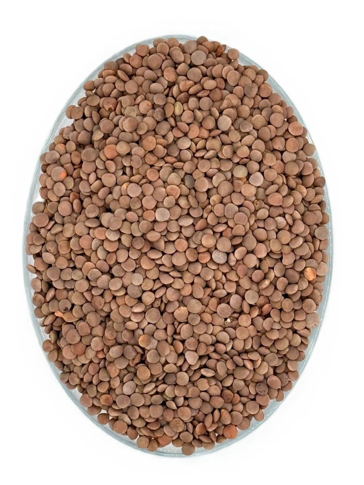 Premium Brown Masoor Daal