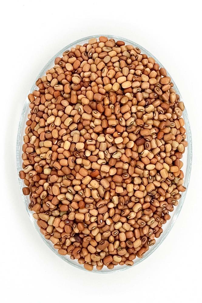 Premium Lobia Brown Small Beans Yasmin Store