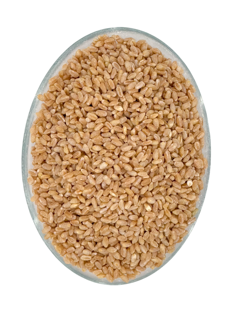 Whole Wheat Grains
