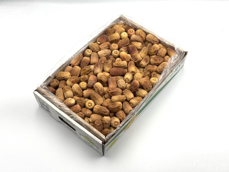 موسم ذوابة