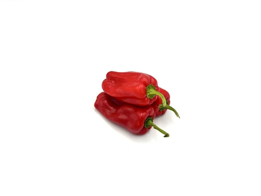 Hot blonde red plate