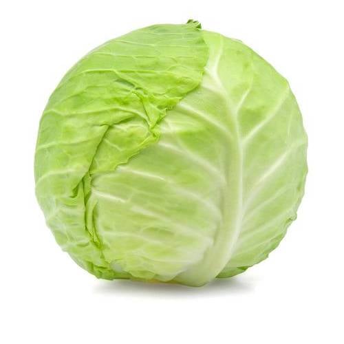 ملفوف اخضر