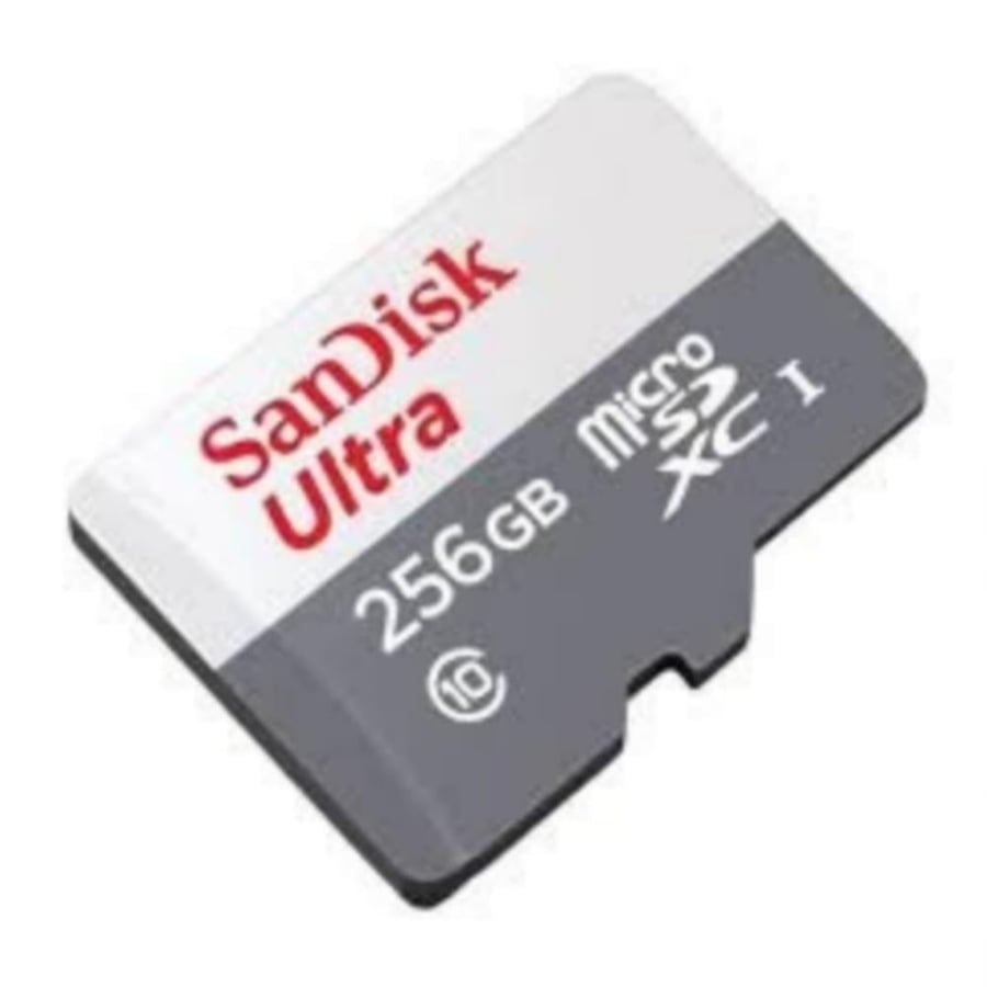 ذاكره SANDISK-256 GB