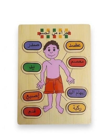 لوح خشبي تعليمي عن اعضاء الجسم باللغة العربية