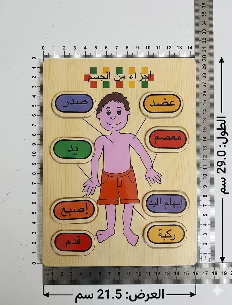 لوح خشبي تعليمي عن اعضاء الجسم باللغة العربية