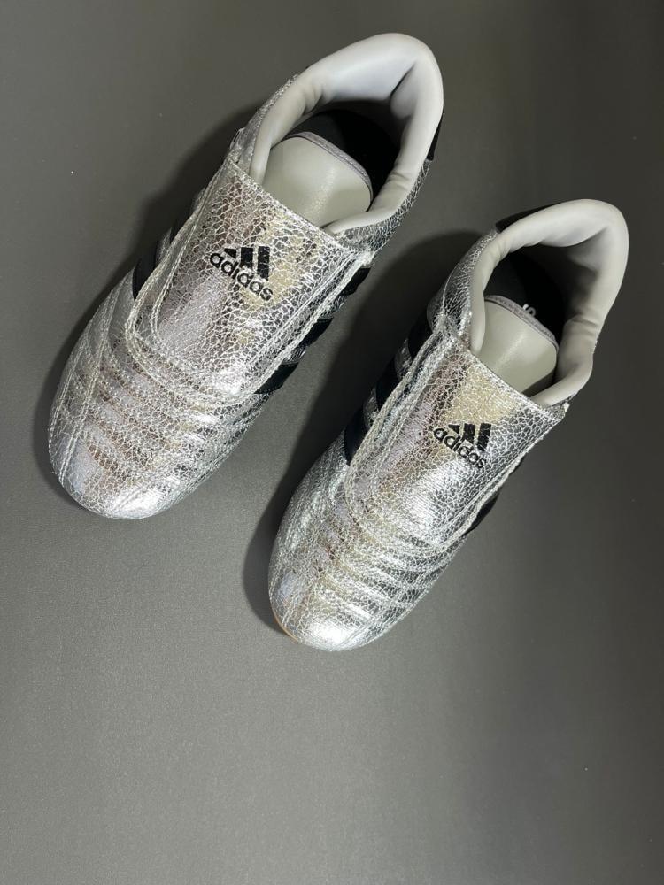 Adidas Taekwondo Silver