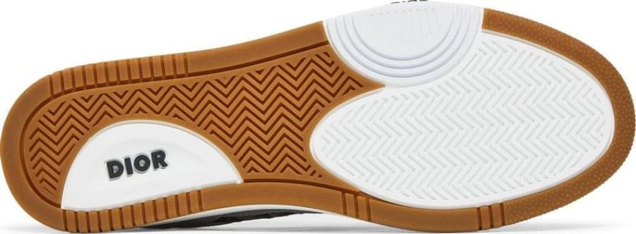 Dior B27 Low 'Dior Oblique Galaxy - Grey Gum'