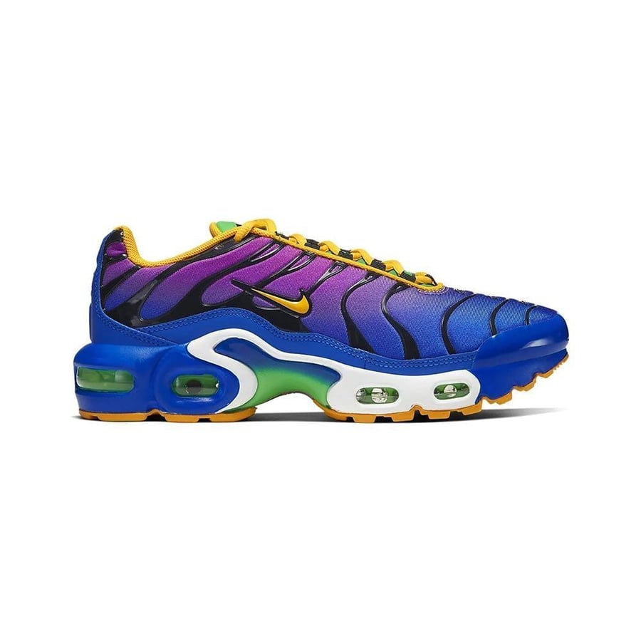 Nike Air Max Plus (gs)