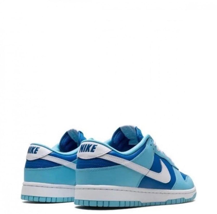 Nike Dunk Low Retro Argon