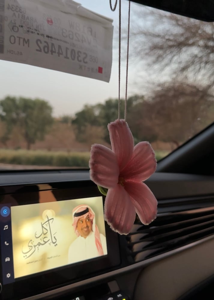 تعليقة ساكورا – وردي
