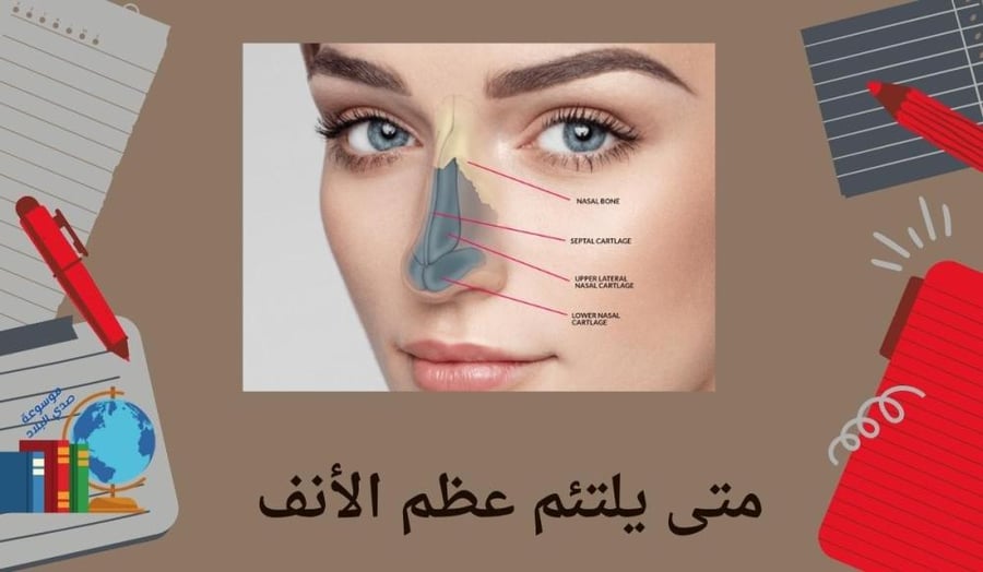 عظمة الأنف الكريستالية الجراحية الفولاذية A11