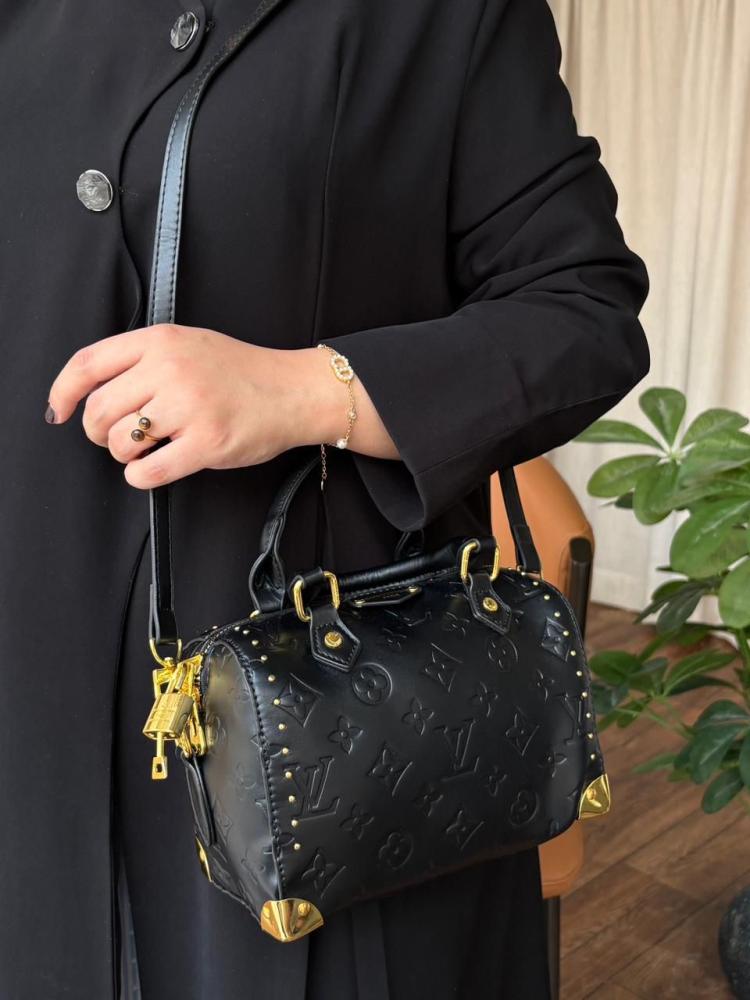 Louis Vuitton master handbag