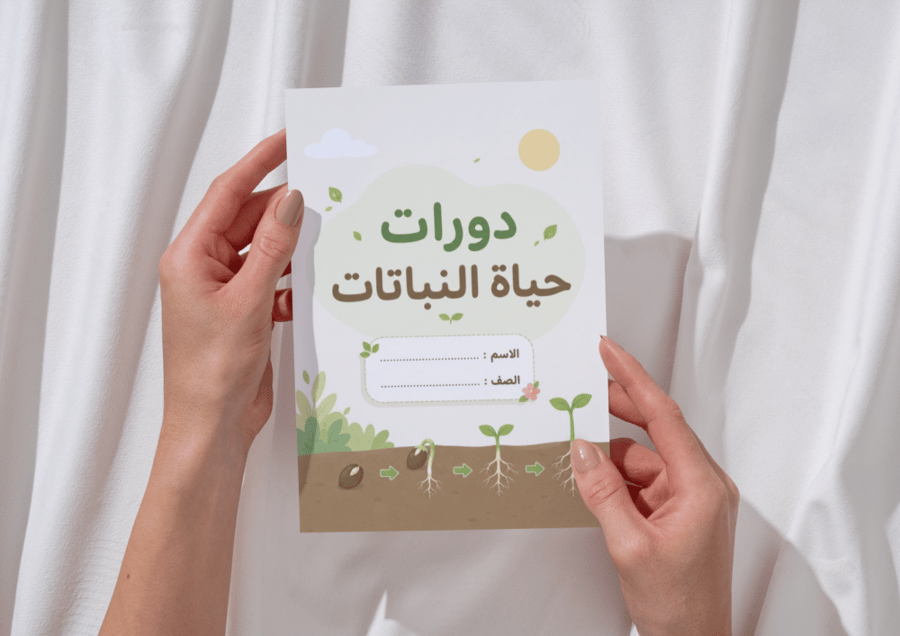 مطوية دورات حياة النباتات