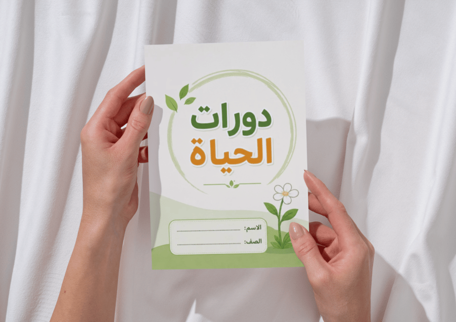 مطوية دورات الحياة