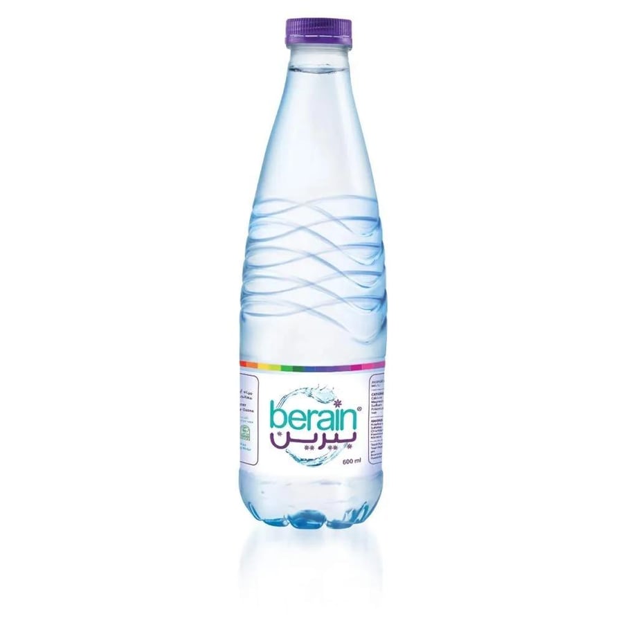 Carton of Birreen water 600 ml 28 packages
