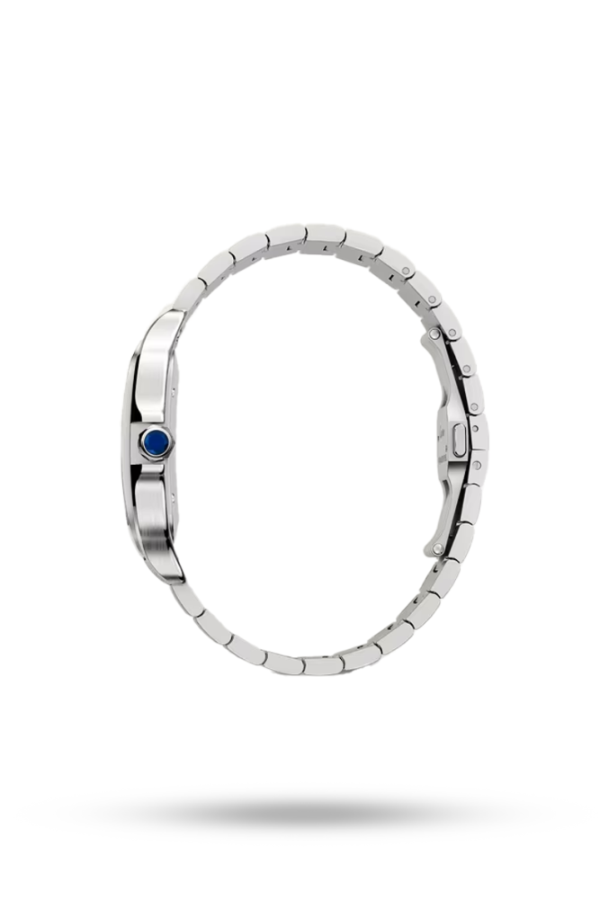 Santos de Cartier watch, white, large size