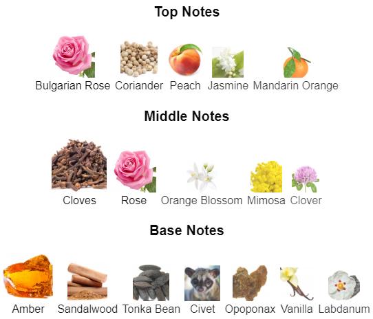 عطر شرقي عنبري دافئ وفاخر